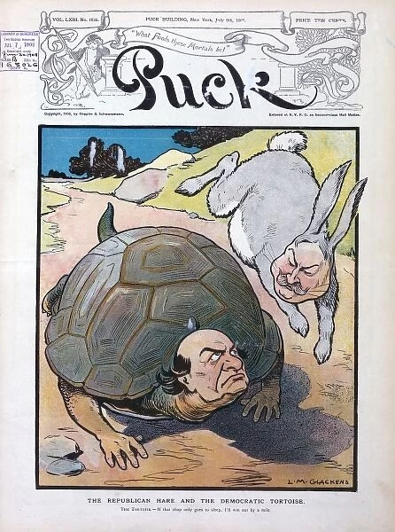 The republican hare and the democratic tortoise