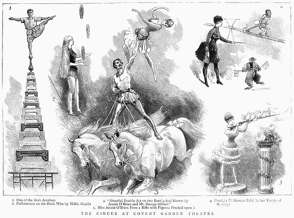 CIRCUS: COVENT GARDEN. The circus at Covent Garden Theatre, London, England. Line engraving, 1886