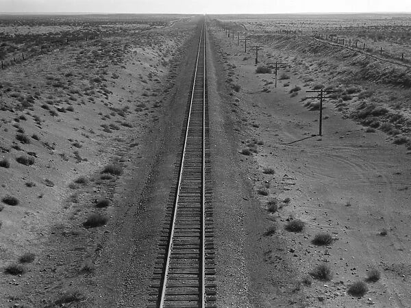 RAILROAD TRACKS, 1939. Western Pacific railroad line in the unclaimed desert of Morrow County, Oregon. Photograph by Dorothea Lange, October 1939
