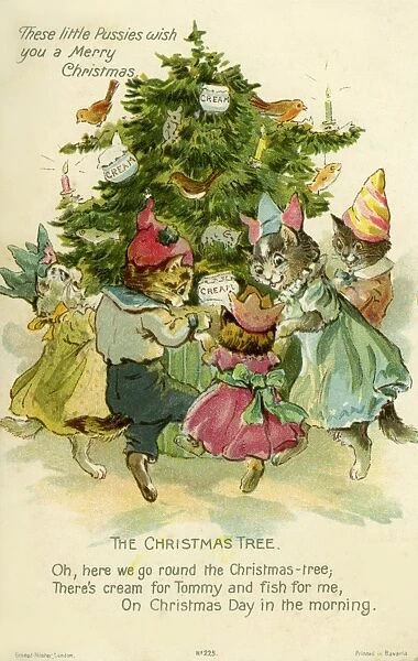 Cats dancing round the Xmas tree