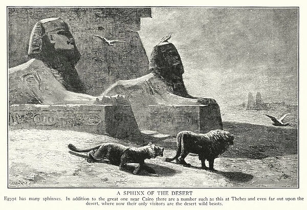 A sphinx of the desert (litho)