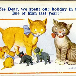 Comic postcard, Cats and kittens