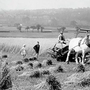 Harvesting near Keighley in 1926