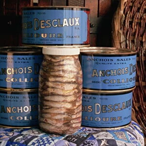 Jars and tins of anchovies, Desclaux factory, Collioure, Roussillon, France, Europe