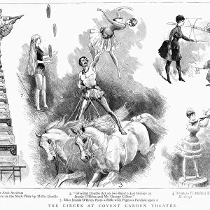 CIRCUS: COVENT GARDEN. The circus at Covent Garden Theatre, London, England. Line engraving, 1886