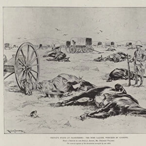 Cronjes Stand at Paardeberg, the Boer Laager, wrecked by Lyddite (litho)