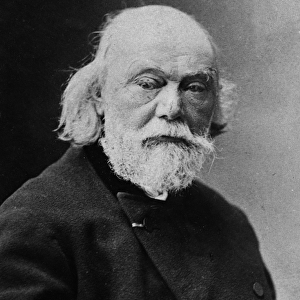 Portrait of Auguste Barthelemi Glaize, c. 1890 (b / w photo)