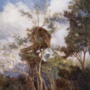 Tree House in British New Guinea (colour litho)